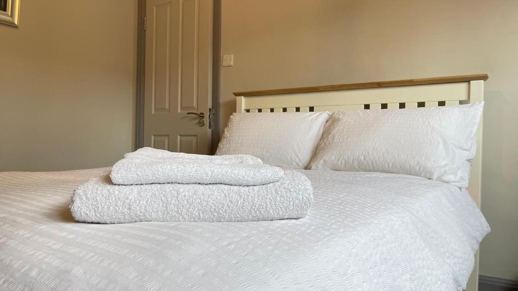 Spacious Double Room with Private Bathroom in Quiet Area Easy Access to London Central & London Bridge, Streatham Vale