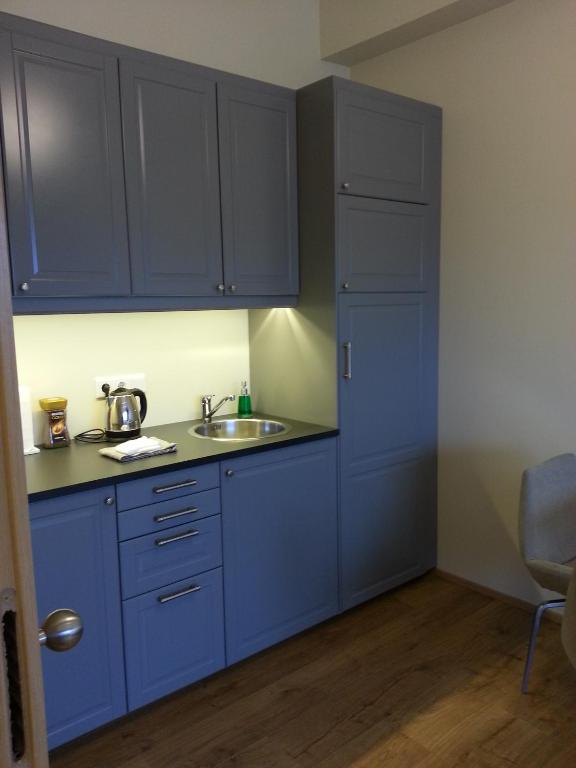 Kitchen, Dima Studio Apartments in Hofn