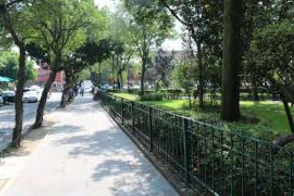 Departamento completo en el centro de CDMX - 5