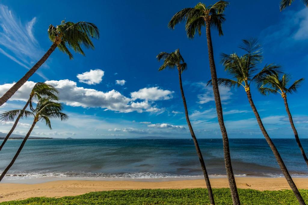 Sugar Beach 334 - MCH, Kihei