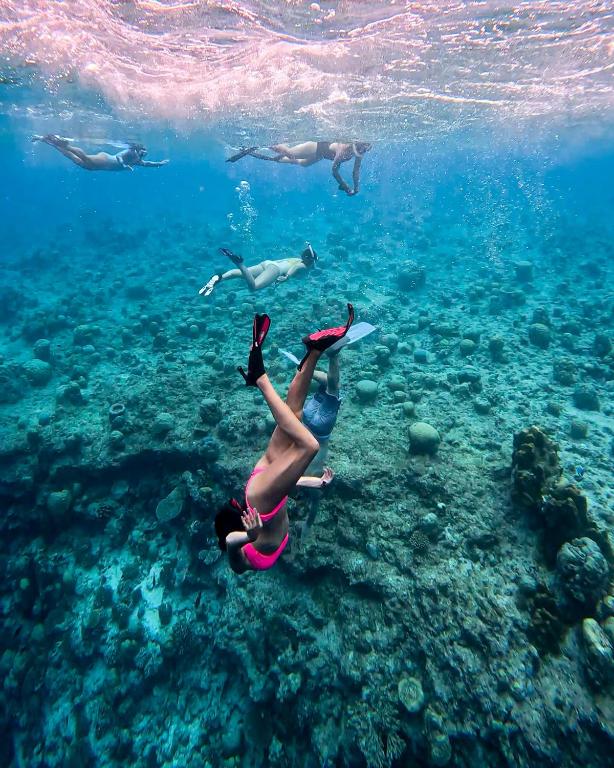 Sports and activities