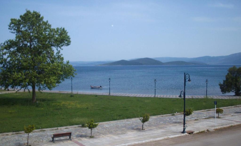 Surrounding environment