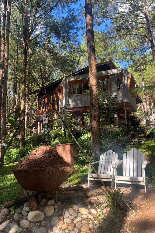 Mơ Stay &#8211; Forest Resort