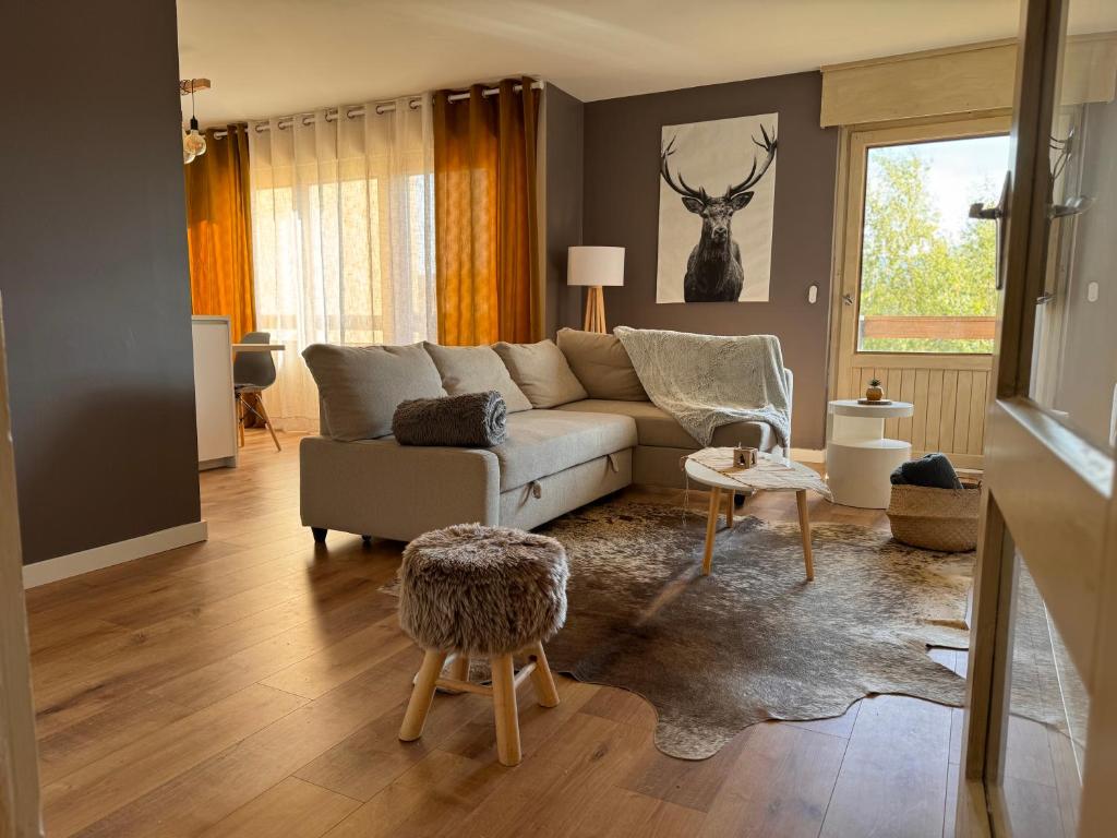 Appartement spacieux et lumineux à Font Romeu, Font Romeu Odeillo Via
