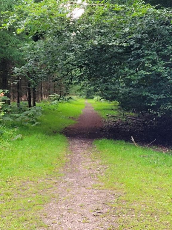 The Nest at Deneside photo 6