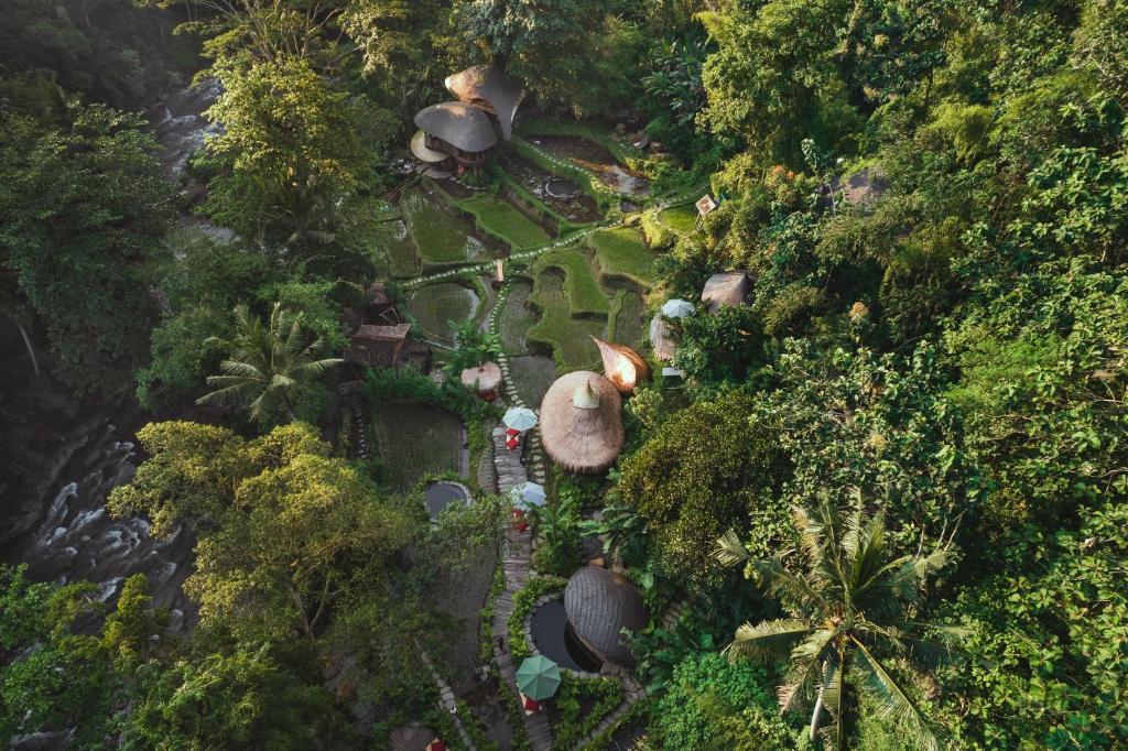 Surrounding environment
