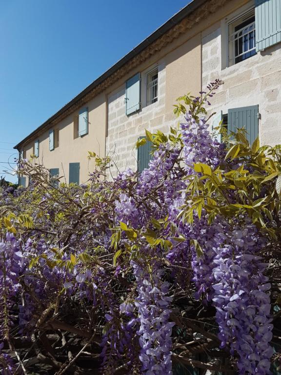 Logis Hotel la Ferme - 3