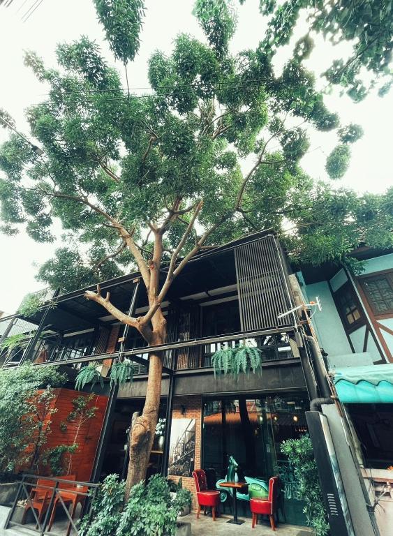 约塔卡旅舍 (Yotaka The Hostel)