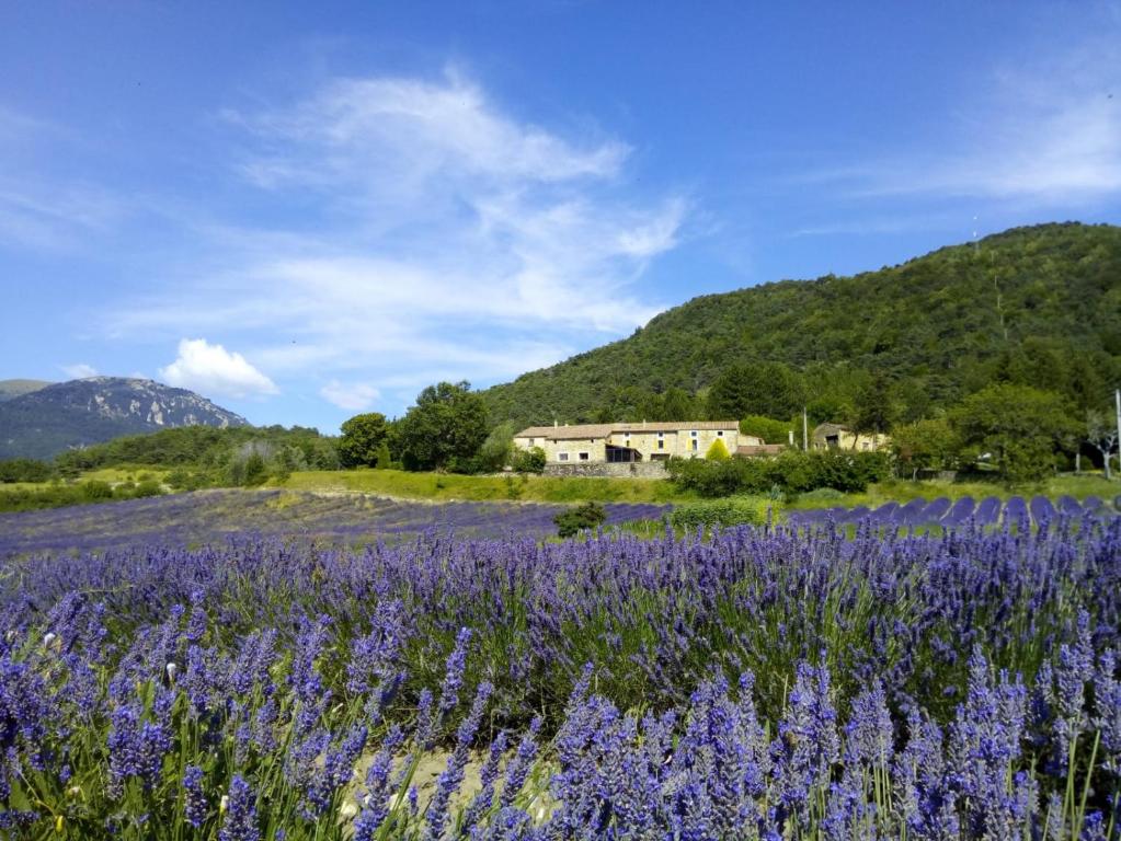 Auberge de Miélandre