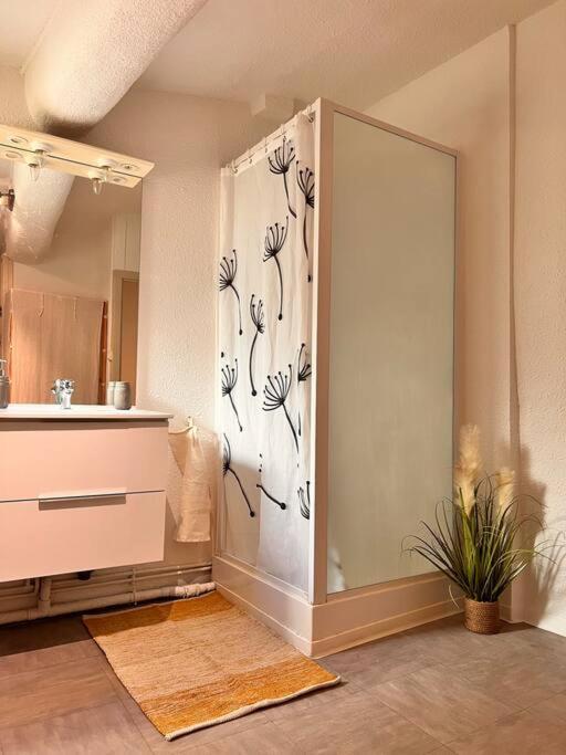 Le Vauban- Appartement au pied du Castillet - 5