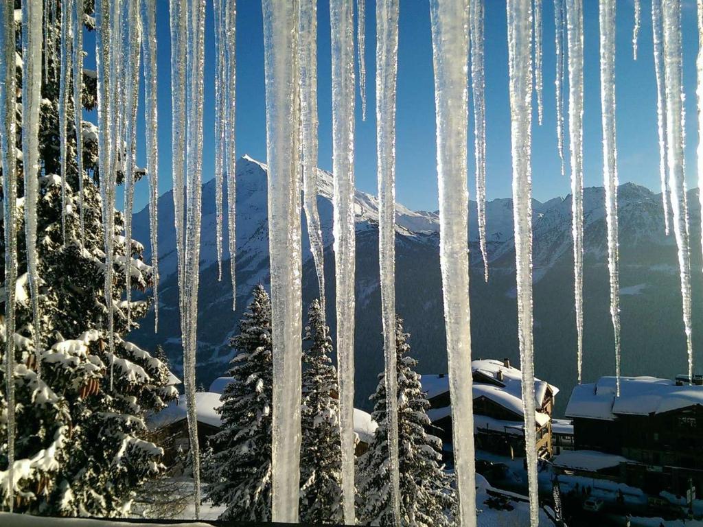 Studio fonctionnel, départ skis aux pieds, terrasse sud - 2