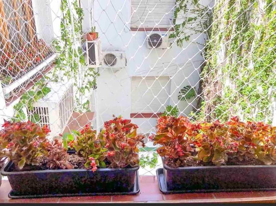 Calido departamento en Palermo Soho - 4