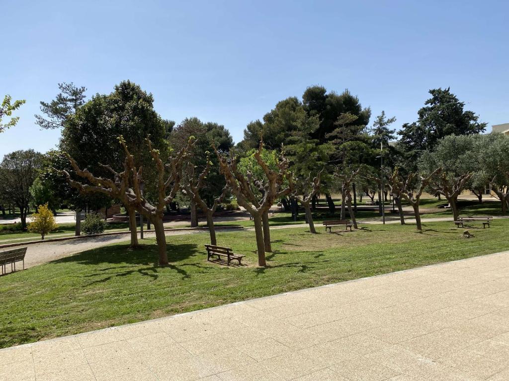 Studio lumineux avec climatisation et wifi à Balaruc-les-Bains - FR-1-553-61 - 5