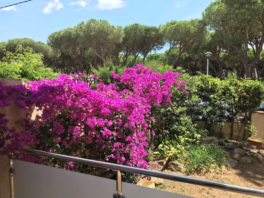 T3 de 65 m2 terrasse jardin à 300 m de la mer - 3