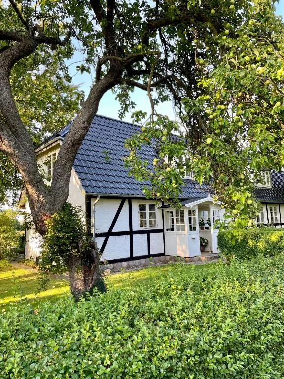 Strandby 1847 B&B，位于尼克宾法尔斯特的酒店