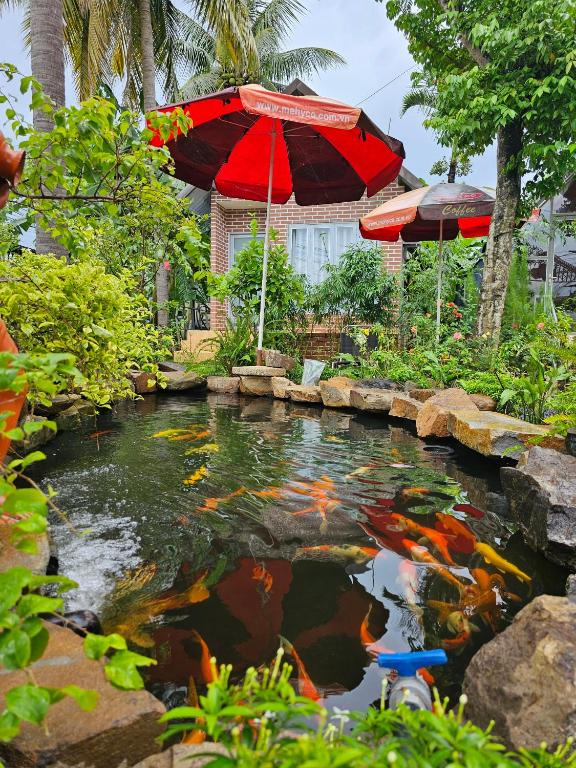 Dak Nguyen Homestay DakLak, Buon Ma Thuot