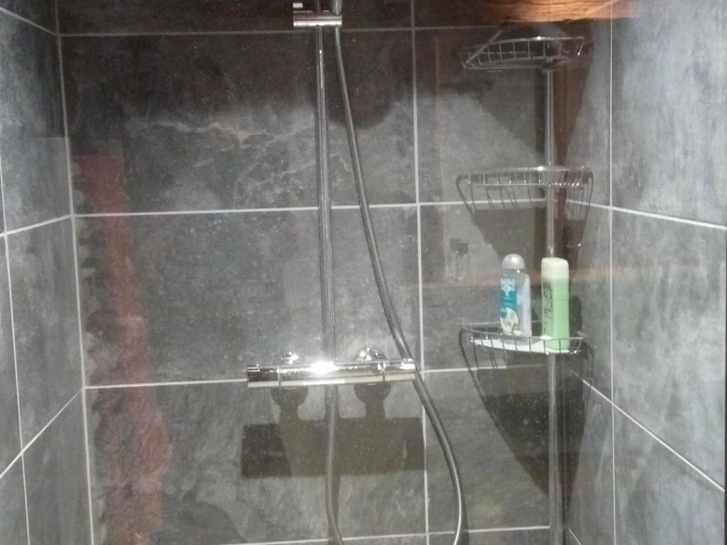 Gîte cosy 6 personnes avec bain norvégien, animaux admis, parking privé - FR-1-467-96 - 3