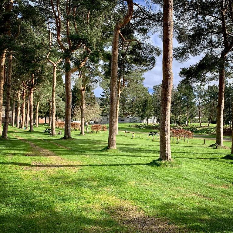 The Cooper's Van Interior