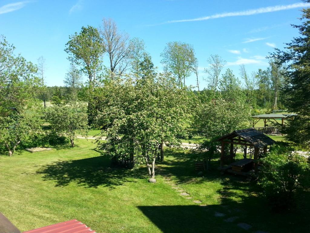 Katri Guesthouse photo