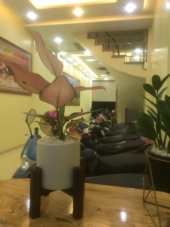 Thien Son Guesthouse 호텔 이미지 1