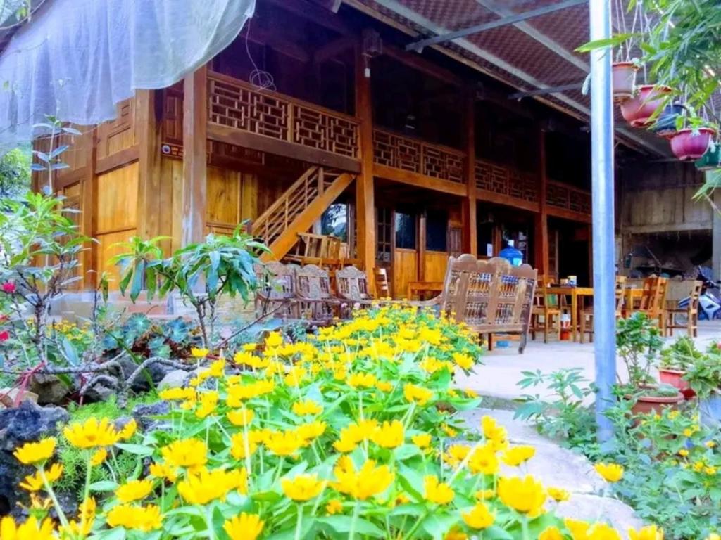 Ha Khoi Homestay