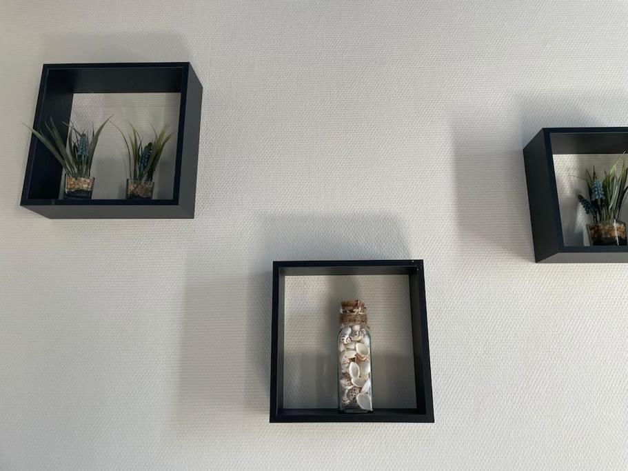 St Bruno - Studio « Palmiers » - 2