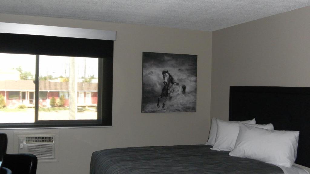 Stampeder Inn photo