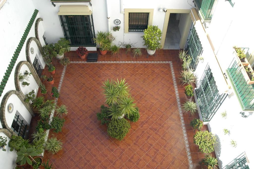 Apartamento Los Olivos Jerez photo