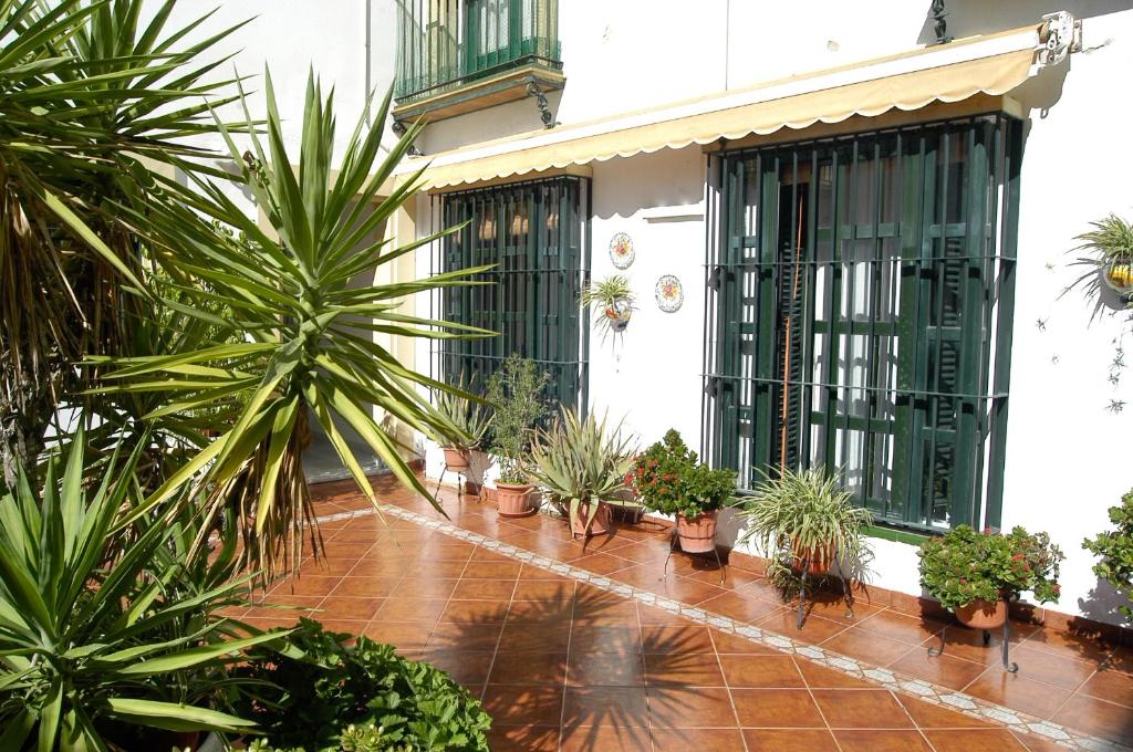 Apartamento Los Olivos Jerez photo