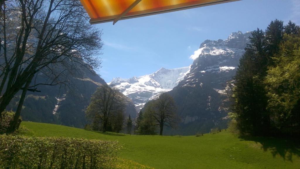 MOM - Alpine Boutique Apartments, Grindelwald gletscher, Eiger View Terrace Studio photo