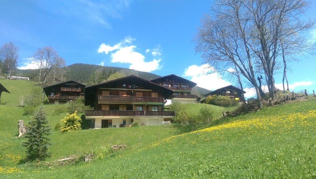 MOM - Alpine Boutique Apartments, Grindelwald gletscher, Eiger View Terrace Studio photo