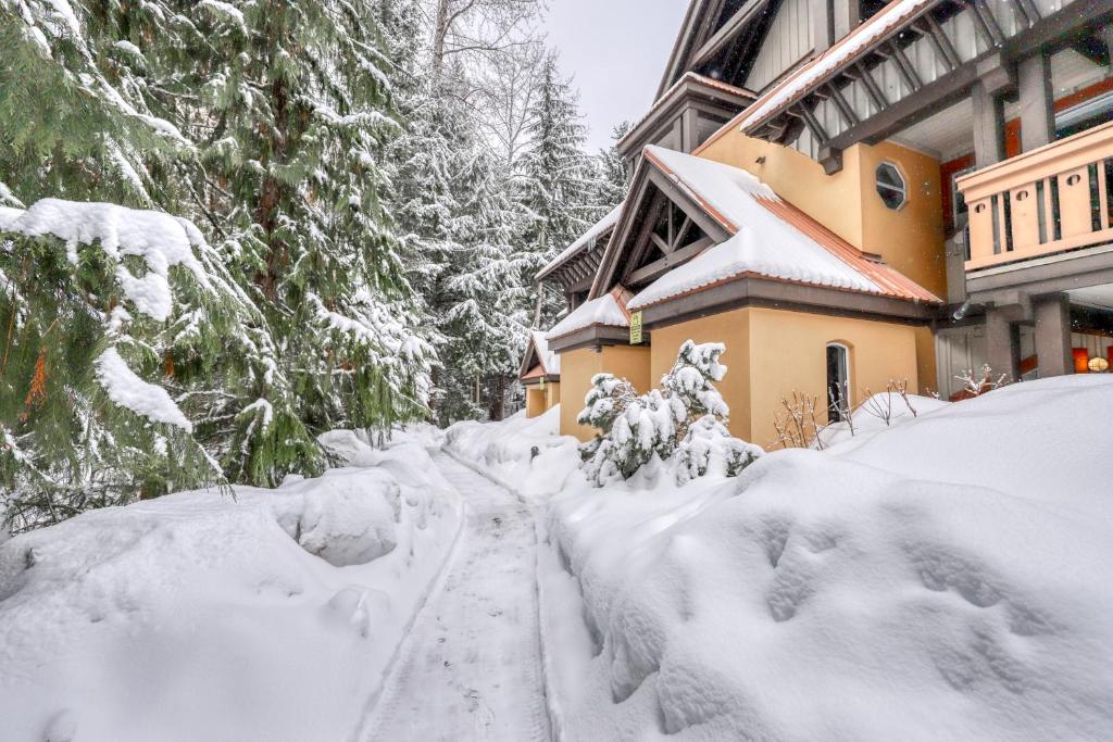 Sunpath #05, Whistler