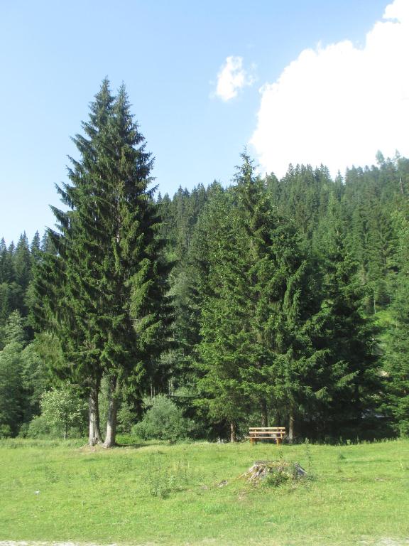 Schwarzenbacher - 2