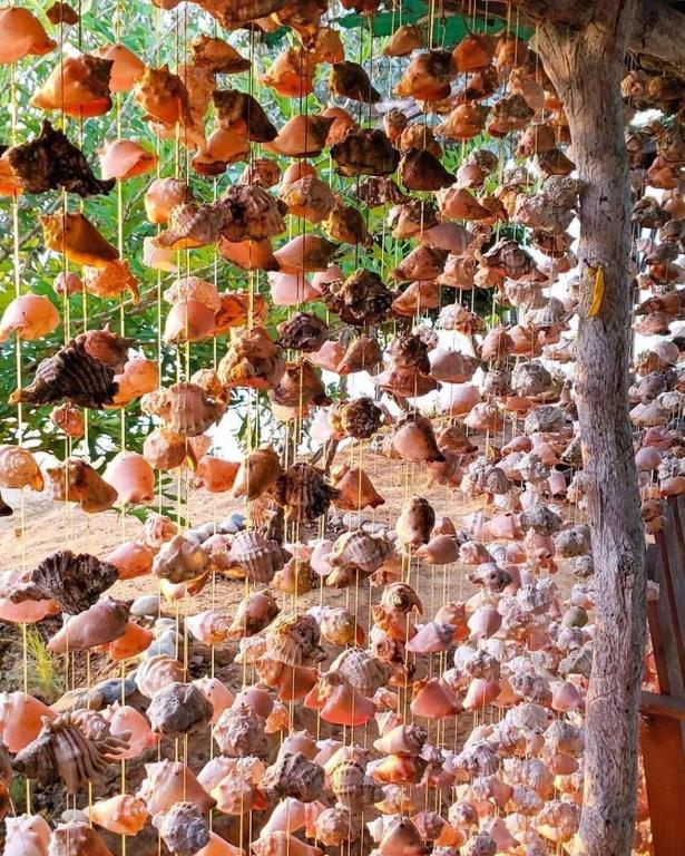 Sports and activities