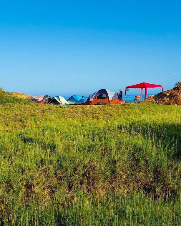 Sports and activities