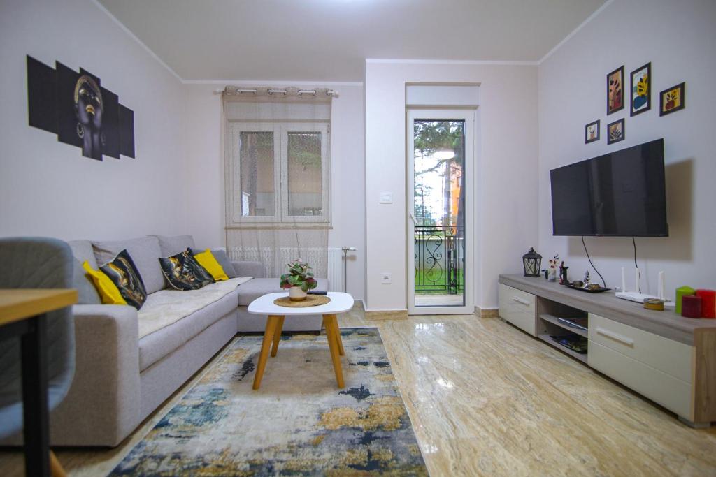 Zlatiborski apartmani - 1