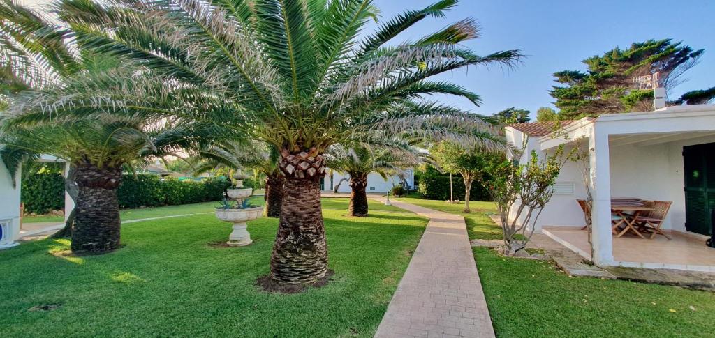 Las Golondrinas - TRAMUNTANA - 3