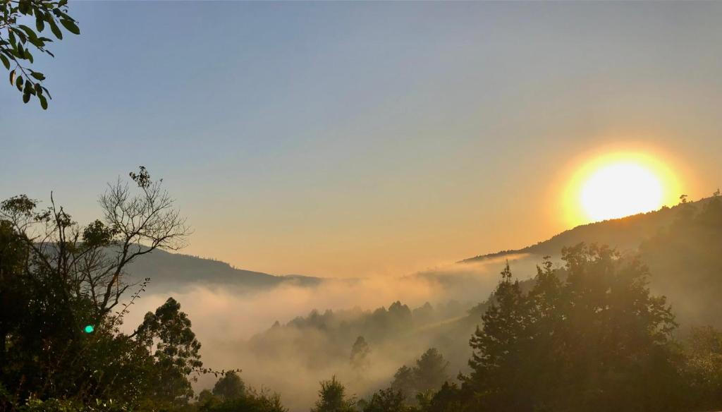 Bushbaby Rest, Sabie