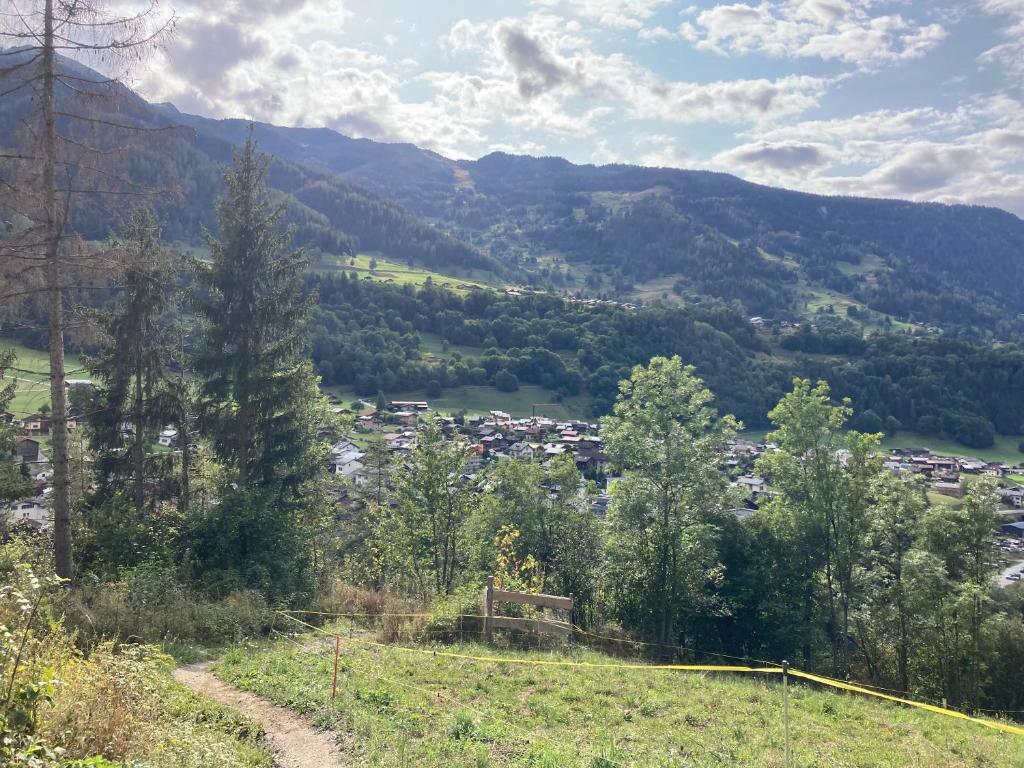 View