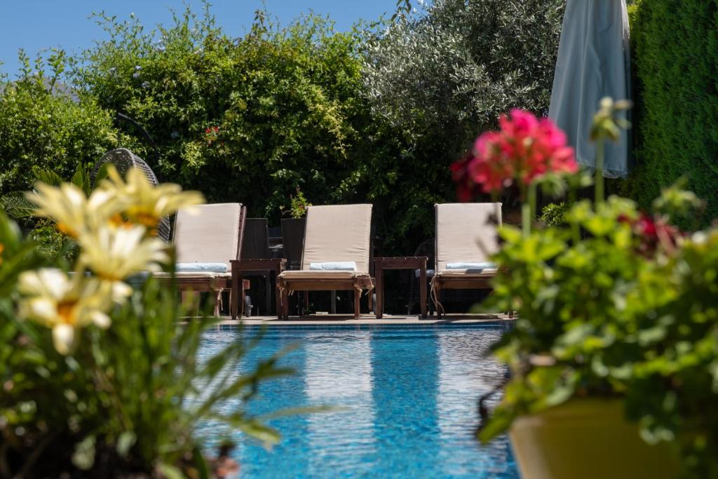 スイミングプール