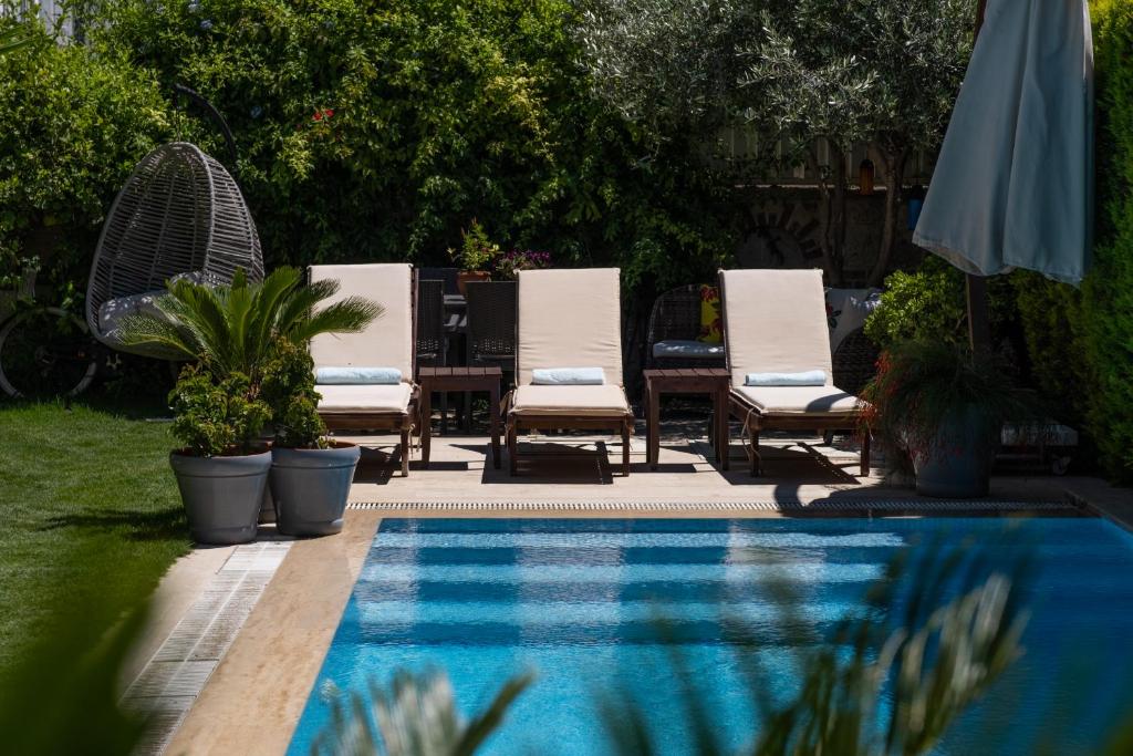 スイミングプール