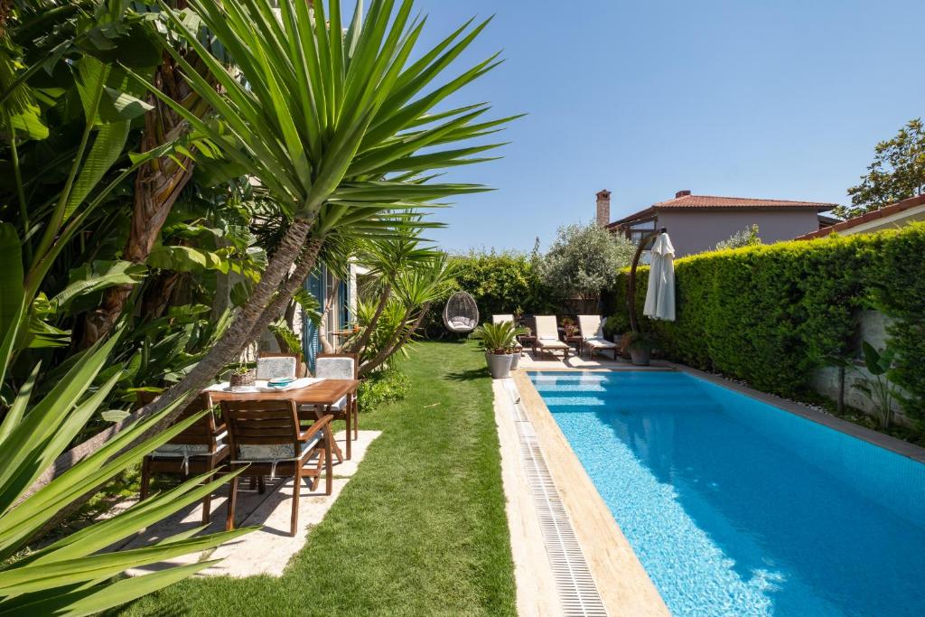 スイミングプール