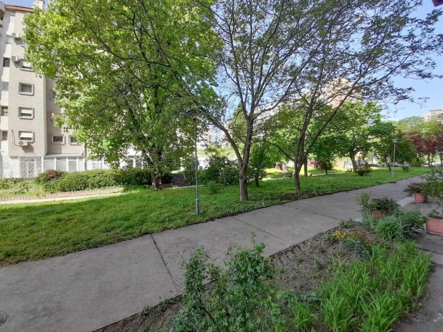 Apartment paku 3 New Belgrade - 3