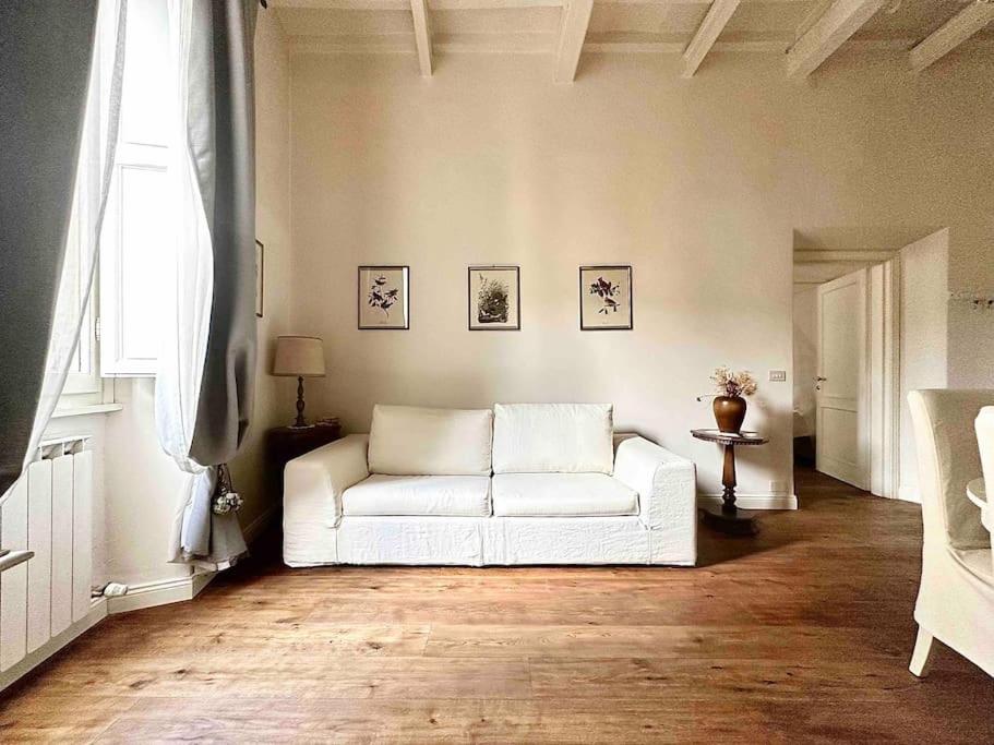 Luxury apartment close to S. Frediano – Victor - 1