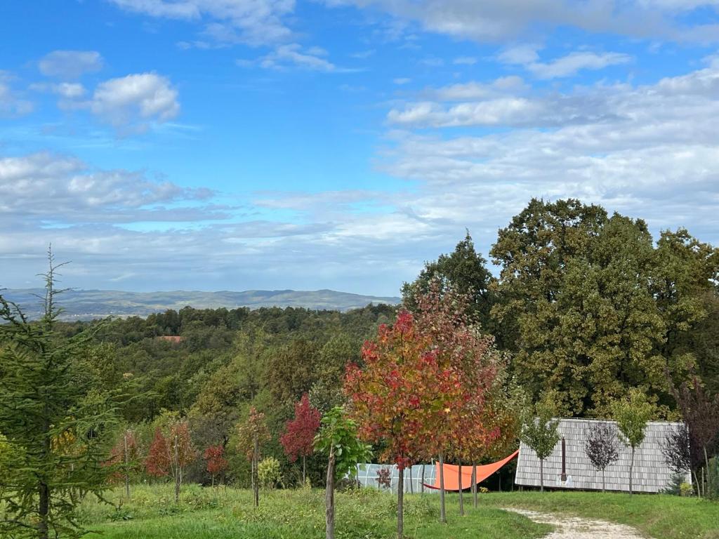 Wood Cabin Hillside Retreat - 4