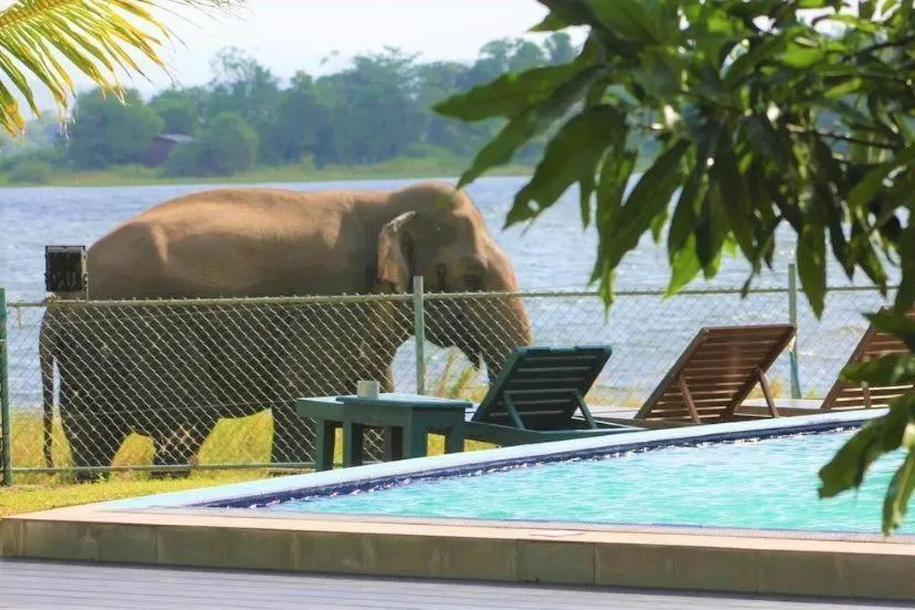 Hotel Lake Park, hotel in Polonnaruwa