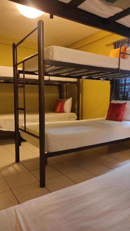 Bed in 8-Bed Mixed Dormitory Room
