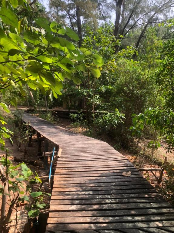 Beautiful natural surroundings