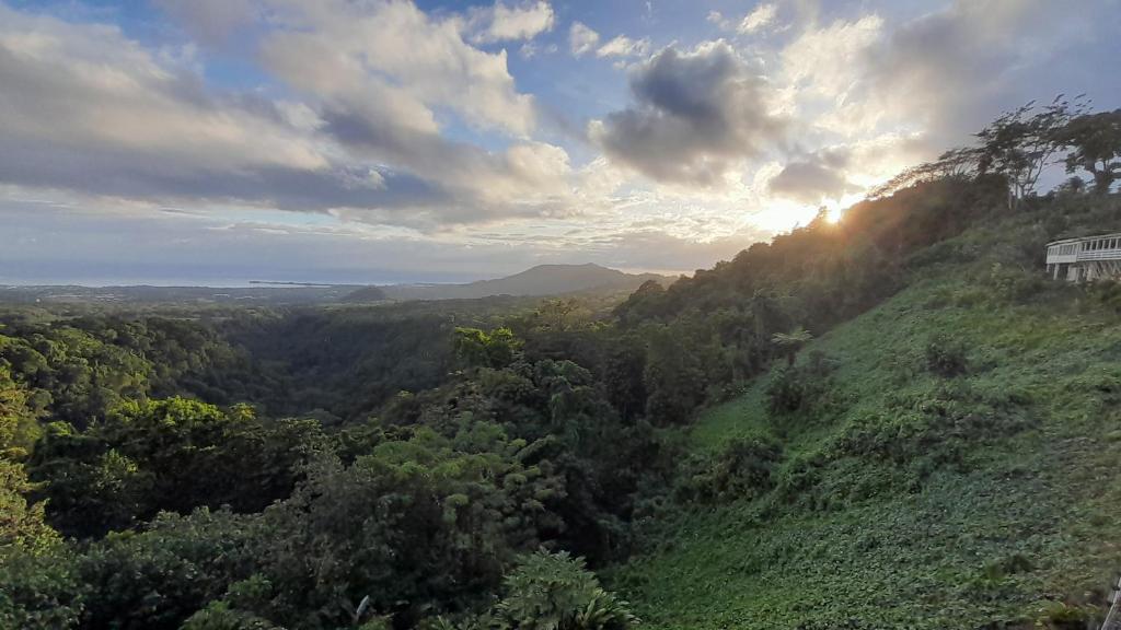 Surrounding environment