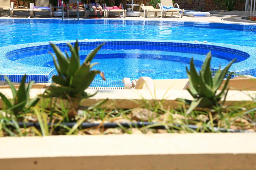 Mandarin Resort & Spa photo